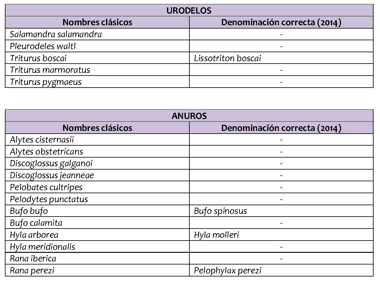 lista patron 1