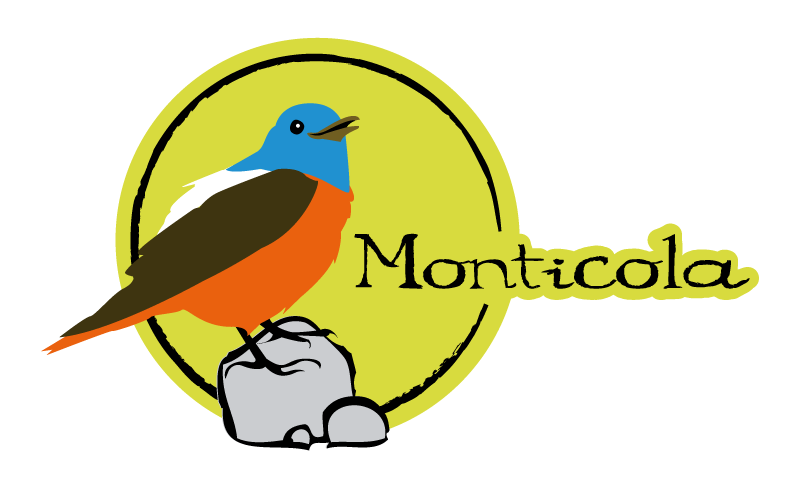 seo_logo-monticola